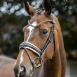 Lifestyle foto hoofdstel LeMieux Kudos Patent Dressage Bruin/Wit