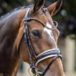 Zijaanzicht LeMieux Hoofdstel Kudos Patent Dressage Bruin/Wit lifestyle foto