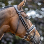 Detail bakstukken LeMieux Kudos hoofdstel Patent Dressage Bruin/Wit