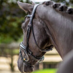 Detail neusriem LeMieux Hoofdstel Kudos Patent Dressage