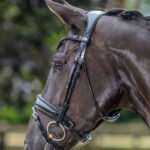 LeMieux Kudos Patent Dressage hoofdstel lifestyle afbeelding Zwart/Zwart