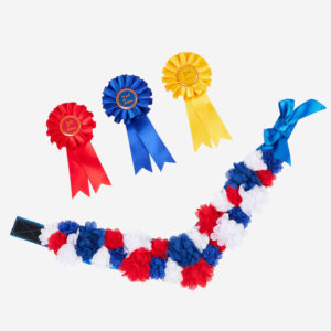 LeMieux Toy Pony Rosette Pack