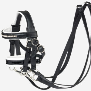 LeMieux Toy Pony Stang en Trens Hoofdstel