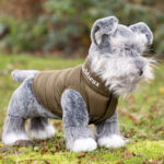 Lifestyle foto LeMieux Toy Puppy Cooper