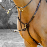 LeMieux lifestyle foto voortuig Kudos havana/brass