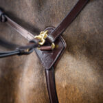 Close up borstgedeelte voortuig LeMieux Kudos Havana/Brass