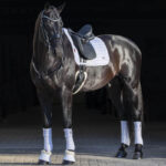 Lifestyle foto zadeldek LeMieux Loire wit