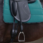 Lifestyle foto Passier Velvet Touch Mono Beugelriemen