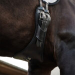 Zijaanzicht lifestyle foto PresTeq Singel PerformFree Dressuur