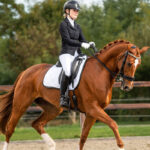 Sfeerfoto PresTeq zadeldek PerformNow wit/zwart