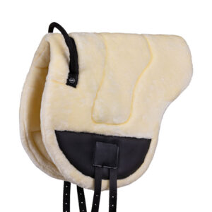 QHP Bareback Pad Ontario