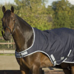 Schoudervrijheid QHP stapmolendeken waterdicht blauw