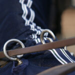 Detail ogen QHP tuigdeken met hals