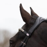 Kopstuk QHP hoofdstel Eris zwart