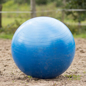 QHP pardenvoetbal blauw