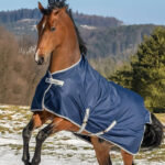 Actiefoto Bucas Freedom Turnout Light Navy