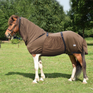 QHP Eczeemdeken IJslander Bruin