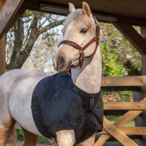 Lemieux Borstbeschermer Zwart