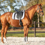 Lifestyle afbeelding QHP zadeldek Kae wit/zwart