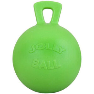 Apple Jolly Ball 10 Zoll 25 cm