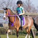 Lifestyle foto QHP bareback pad Passion Flower