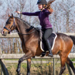 Lifestyle foto QHP bareback pad zwart