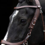 PresTeq bruin hoofdstel bakstuk bevestiging