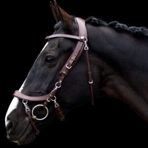 Bruin PresTeq hoofdstel FaySport