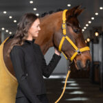 Image de style de vie Eskadron Halter Similicuir Platine Jaune Doré