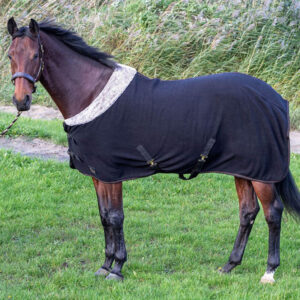 Harry's Hore Fleecedeken Aurach