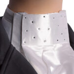 Photo de style de vie Cravate en stock Harry's Horse Argent précieux