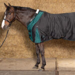 Sfeerfoto Harry's Horse Highliner 300 Grams