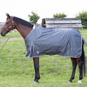 Harry's Horse winterdeken Thor 100 Grams Ebony