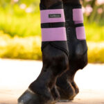 Lifestyle afbeelding LeMieux Air-Tek Grafter Brushing Boots Mallow