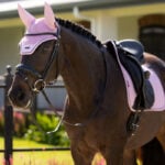 Lifestyle foto LeMieux Oornetje Essence Fondant