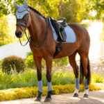 Lifestyle foto LeMieux Oornetje Essence Powder Blue