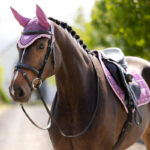 Lifestyle foto LeMieux Oornetje Loire Mallow