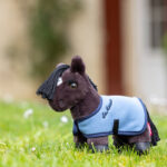 LeMieux Tiny Pony Freya Lifestyle foto