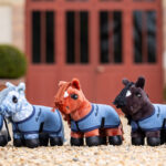 Verzamelfoto LeMieux Tiny Pony Thomas