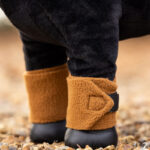 Lifestyle photo bandages LeMieux Toy Pony Ginger