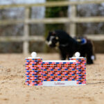Photo complète du style de vie du poney LeMieux Toy Spring Wall