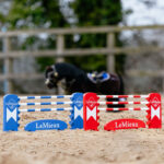 Photo de style de vie du poney LeMieux Toy Spring Set