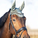 Lifestyle-Foto Earnet QHP Gloss Olive