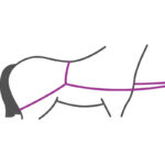 Erläuterung Anhängerladehilfe QHP