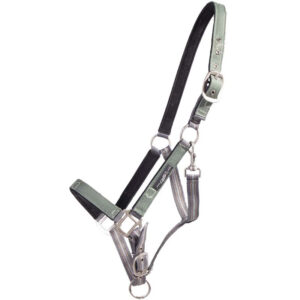 QHP halster Stirrup groen collectie