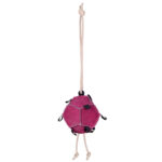 QHP cheval jouet balle Rose complet