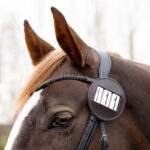 Lifestyle foto startnummer Modeste Rond QHP Bruin