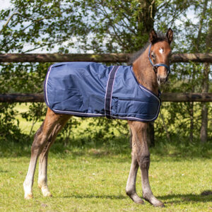 QHP veulendeken Turnout 100 Grams navy