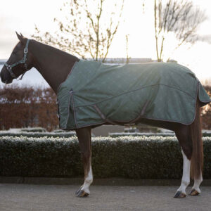 QHP winterdeken 300 grams Stirrup Groen