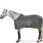 Eskadron Pro Cover Reflexx grau Lifestyle